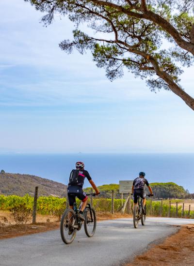 Cyclists ride along a coastal road with sea view.