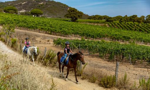 Due persone a cavallo attraversano vigneti verdi in una giornata soleggiata.