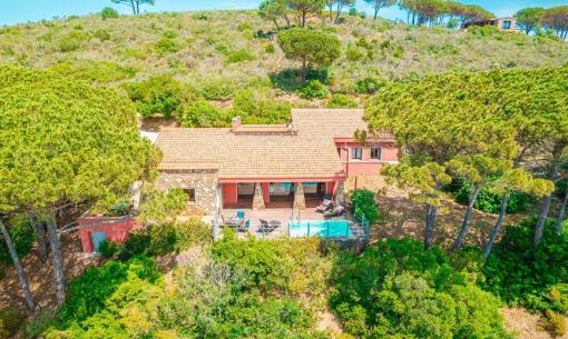 Villa immersa nel verde con piscina e terrazza.