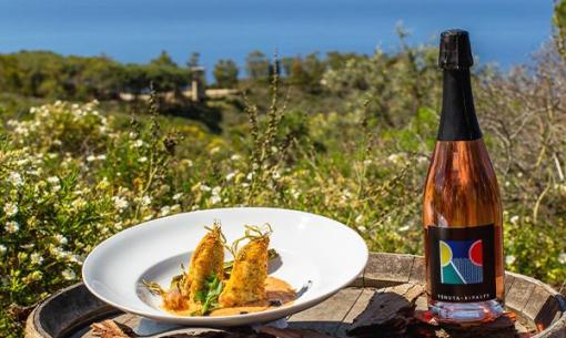 Piatto gourmet e vino rosato su botte, vista mare.