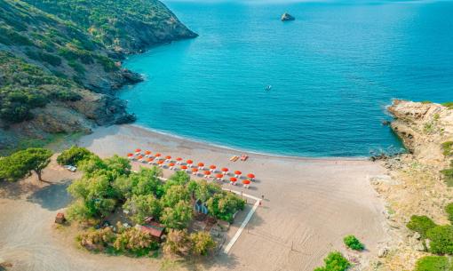 Peaceful beach with orange umbrellas and clear blue sea.