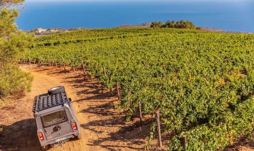 Fuoristrada tra vigneti con vista mare.