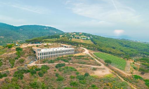 Edificio moderno in collina, circondato da vigneti e foreste.