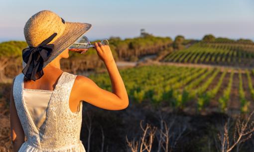 Woman drinking wine in a vineyard at sunset.